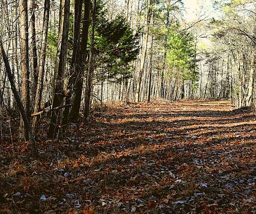 1.5 Acres of Land for Sale in Ranger, Georgia