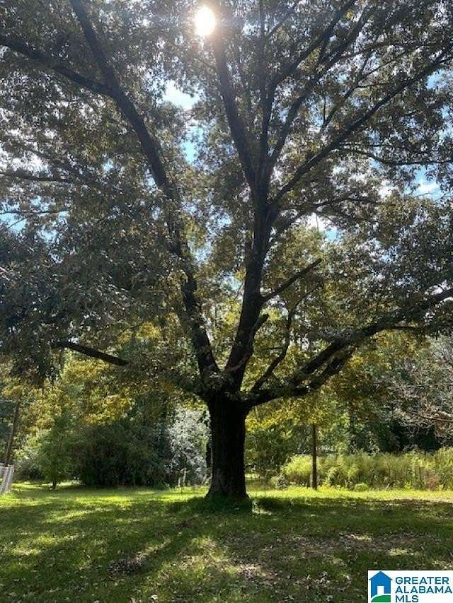 7.23 Acres of Land with Home for Sale in Birmingham, Alabama