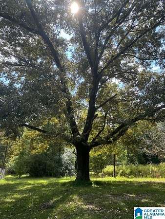 7.23 Acres of Land with Home for Sale in Birmingham, Alabama