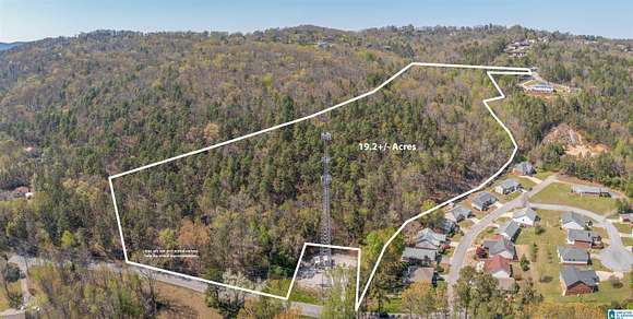 19.3 Acres of Land for Sale in Anniston, Alabama