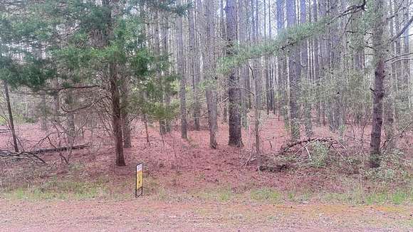 3.1 Acres of Residential Land for Sale in Heathsville, Virginia