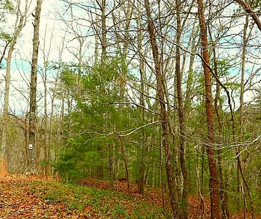 1 Acre of Residential Land for Sale in Ranger, Georgia
