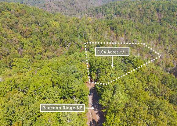 1 Acre of Residential Land for Sale in Ranger, Georgia