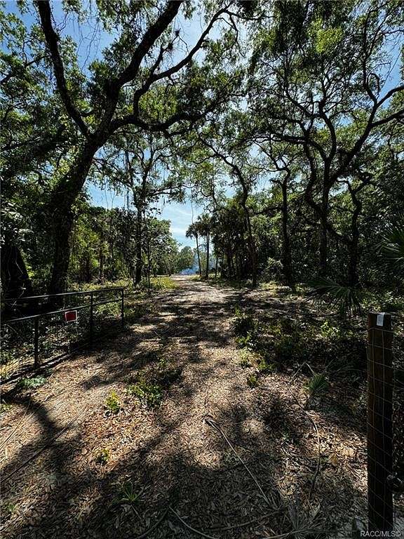 5 Acres of Residential Land for Sale in Hernando, Florida