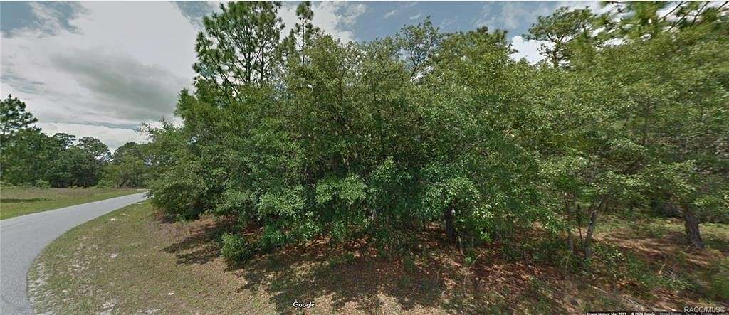 0.32 Acres of Land for Sale in Citrus Springs, Florida