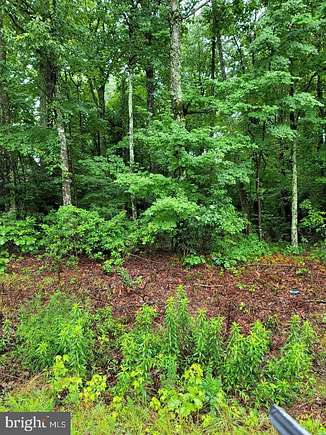 0.37 Acres of Residential Land for Sale in Montross, Virginia