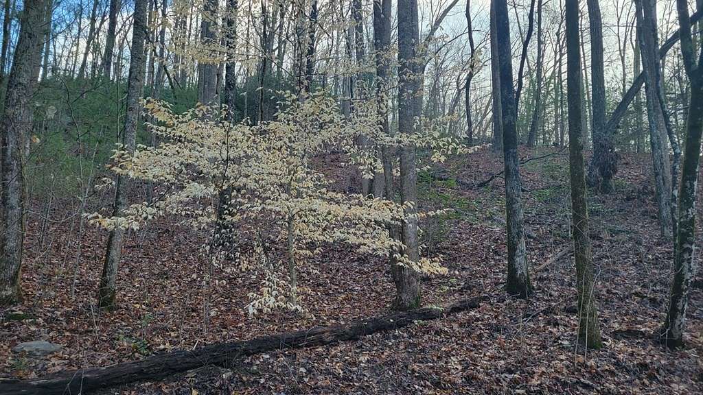 3 Acres of Residential Land for Sale in Murphy, North Carolina