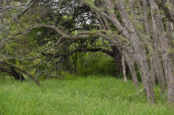 154 Acres of Improved Land for Sale in May, Texas