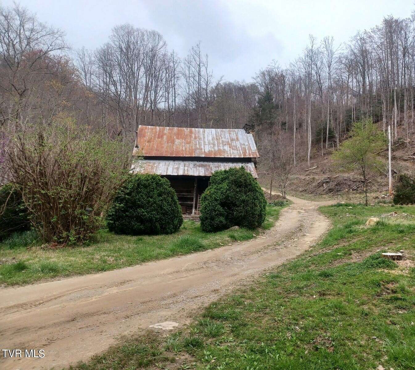6.1 Acres of Land for Sale in Roan Mountain, Tennessee