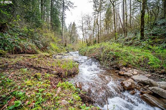 1.64 Acres of Residential Land for Sale in Yacolt, Washington