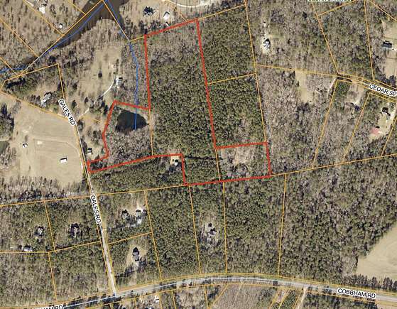 22.8 Acres of Agricultural Land for Sale in Appling, Georgia