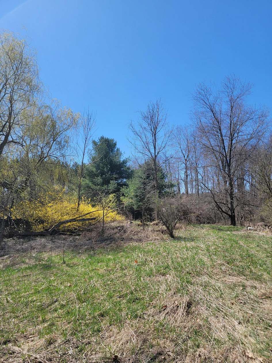 20 Acres of Land for Sale in Riverdale, Michigan