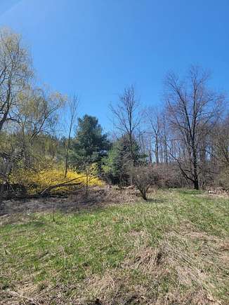20 Acres of Land for Sale in Riverdale, Michigan