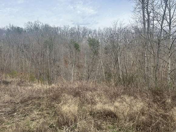 175 Acres of Recreational Land & Farm for Sale in Blaine, Kentucky ...