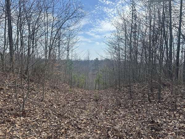 175 Acres of Recreational Land for Sale in Blaine, Kentucky