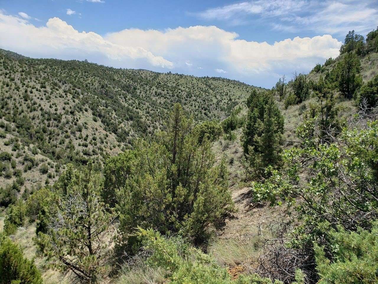 20 Acres of Land for Sale in Toston, Montana