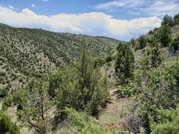 20 Acres of Land for Sale in Toston, Montana