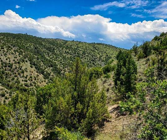 20 Acres of Land for Sale in Toston, Montana