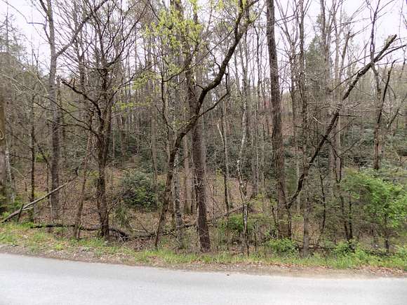 0.56 Acres of Land for Sale in Cosby, Tennessee