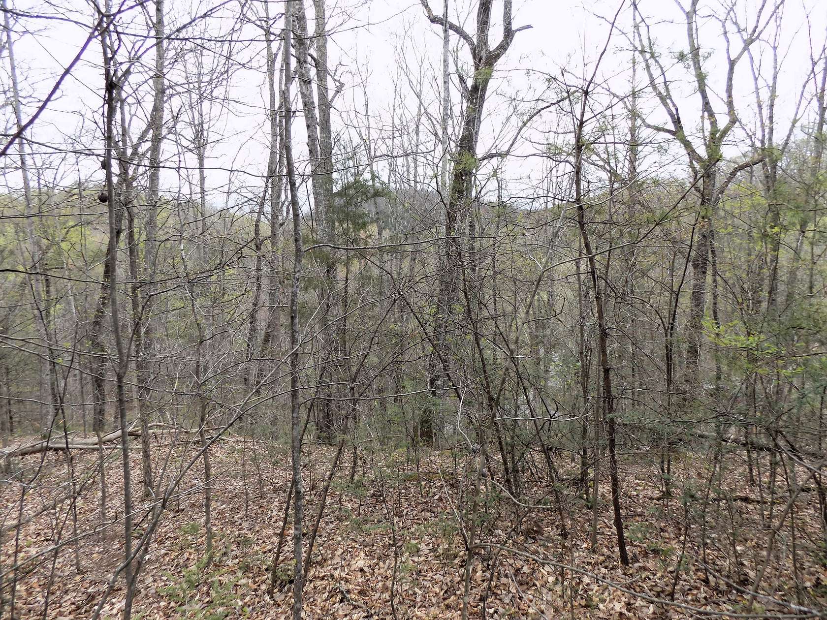 4.4 Acres of Land for Sale in Cosby, Tennessee