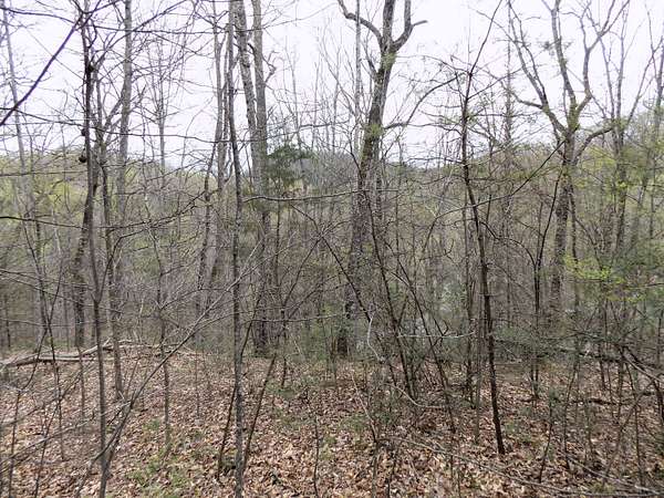 3.56 Acres of Land for Sale in Cosby, Tennessee