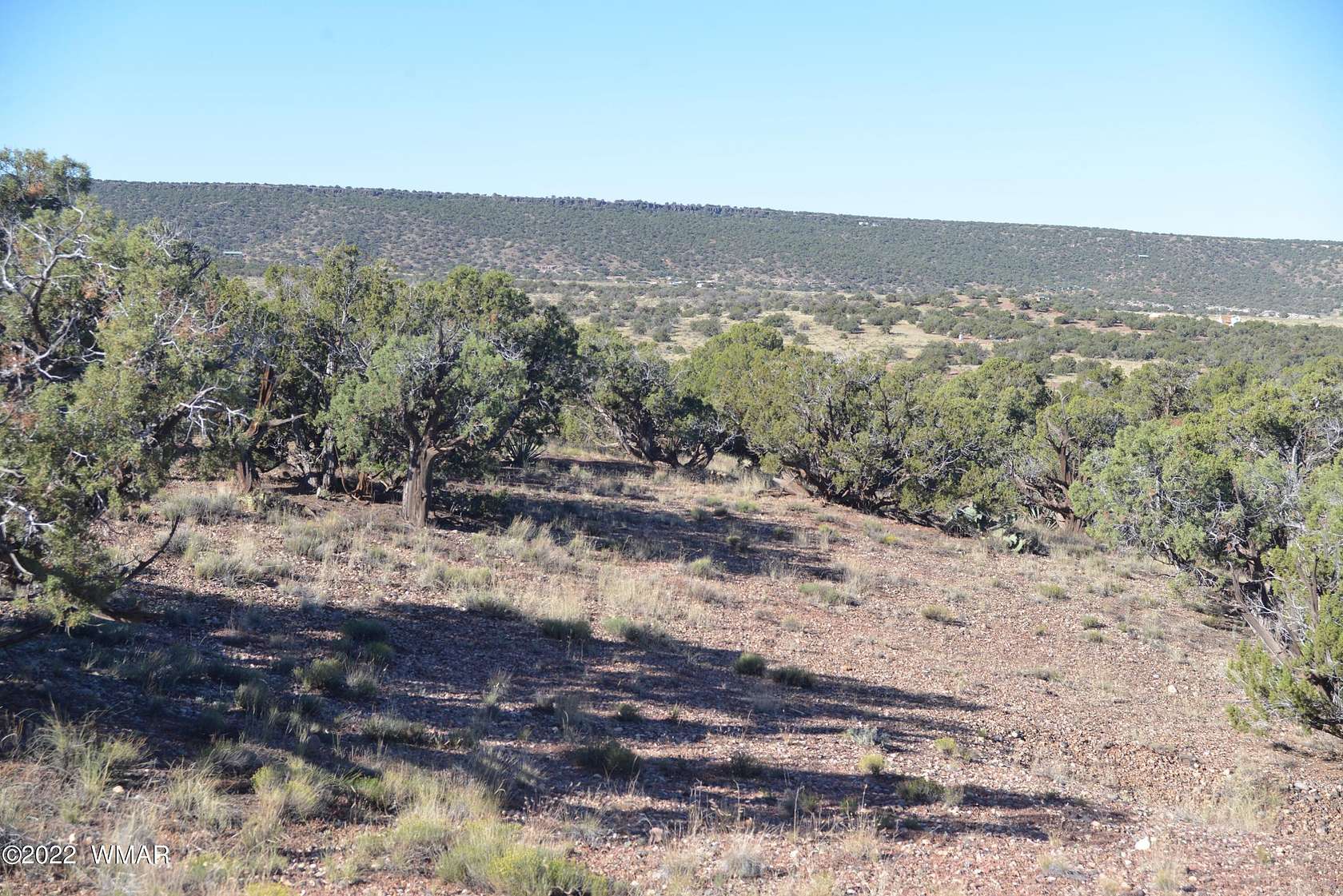 4.5 Acres of Land for Sale in Snowflake, Arizona