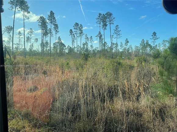 18.9 Acres of Recreational Land for Sale in Greenville, Florida