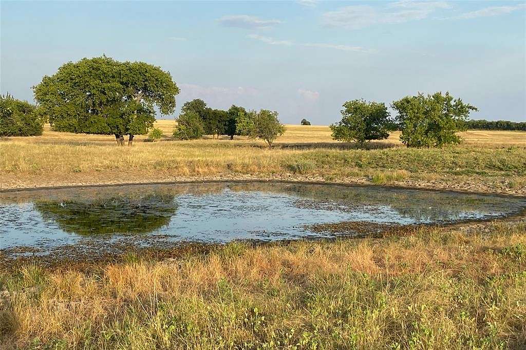 11 Acres of Land for Sale in Muenster, Texas