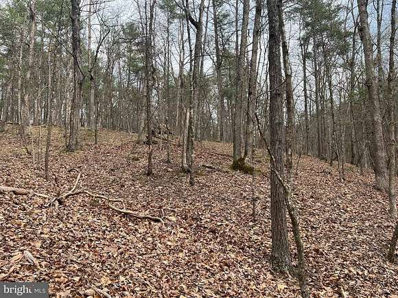 0.54 Acres of Residential Land for Sale in Basye, Virginia
