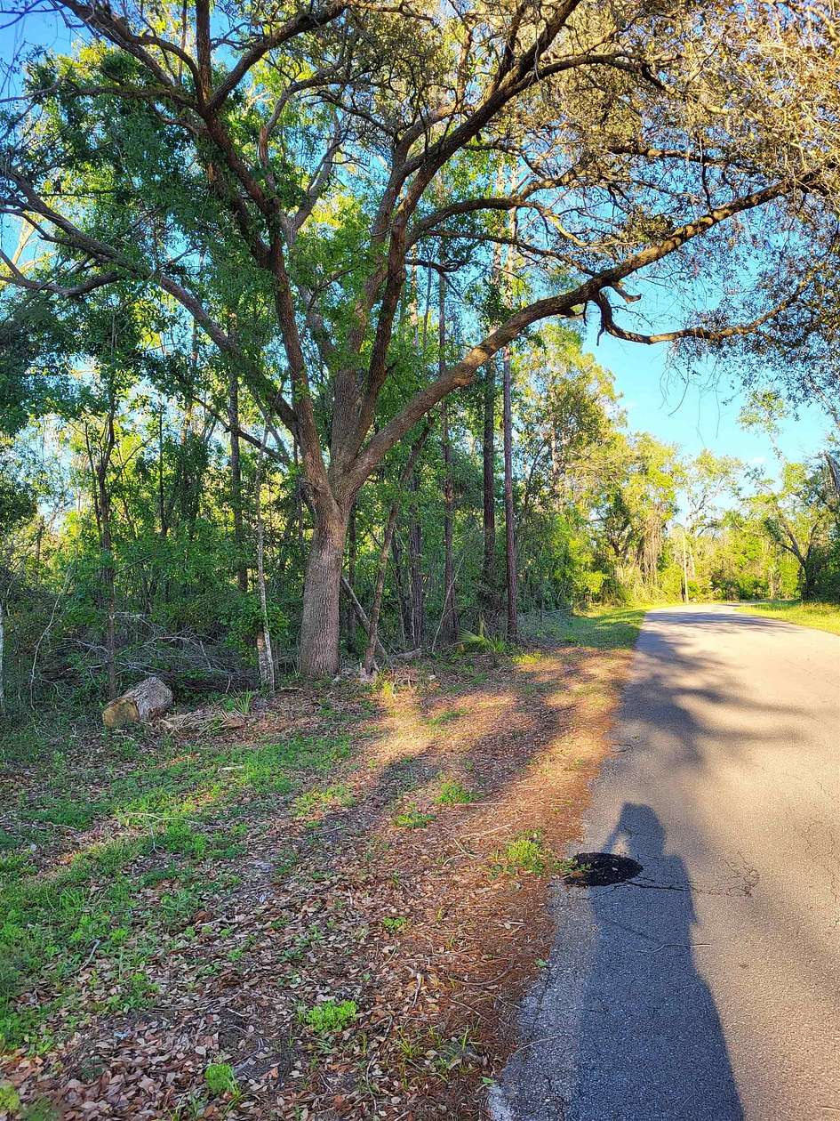 1.6 Acres of Residential Land for Sale in Perry, Florida