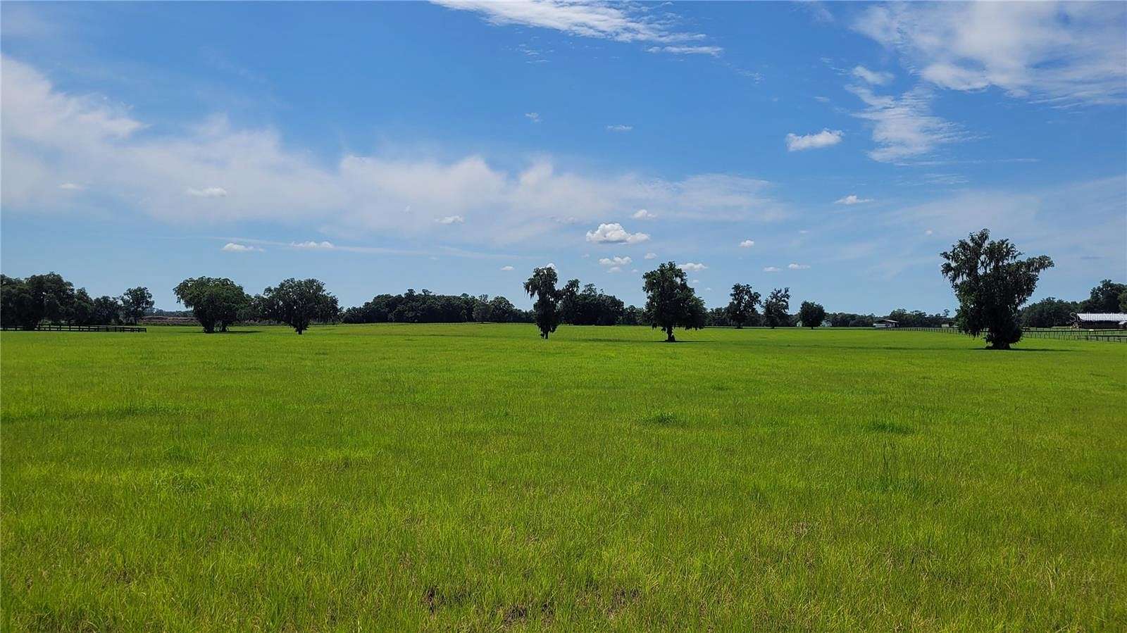 22.13 Acres of Agricultural Land for Sale in Morriston, Florida
