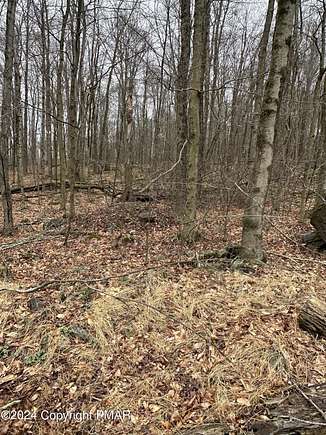 1 Acre of Residential Land for Sale in Pocono Lake, Pennsylvania
