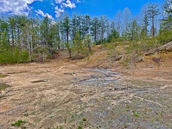 17.6 Acres of Recreational Land with Home for Sale in Spring City, Tennessee