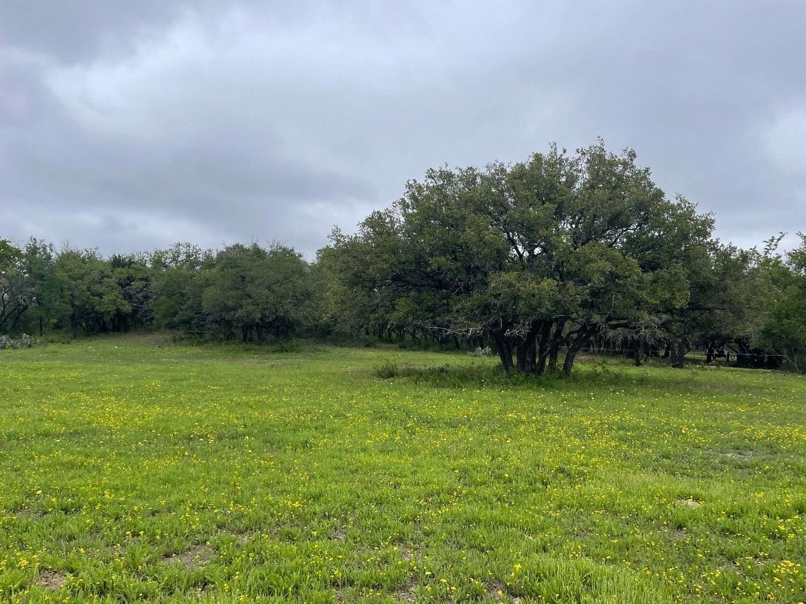 10.82 Acres of Land for Sale in Hamilton, Texas