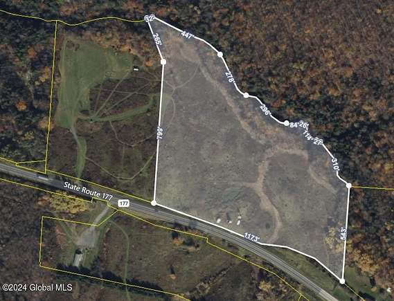 18.4 Acres of Land for Sale in Rodman, New York