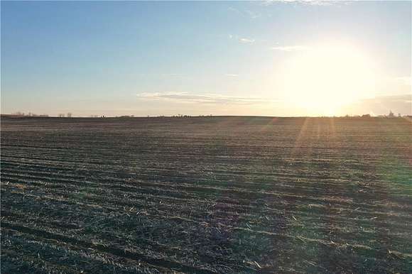 156 Acres of Agricultural Land for Auction in Clarion, Iowa