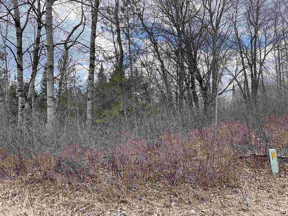 20 Acres of Recreational Land for Sale in Dunbar Town, Wisconsin