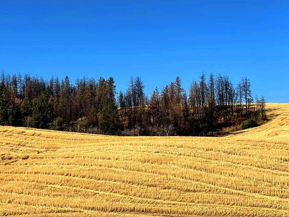 87.8 Acres of Recreational Land for Sale in Cheney, Washington