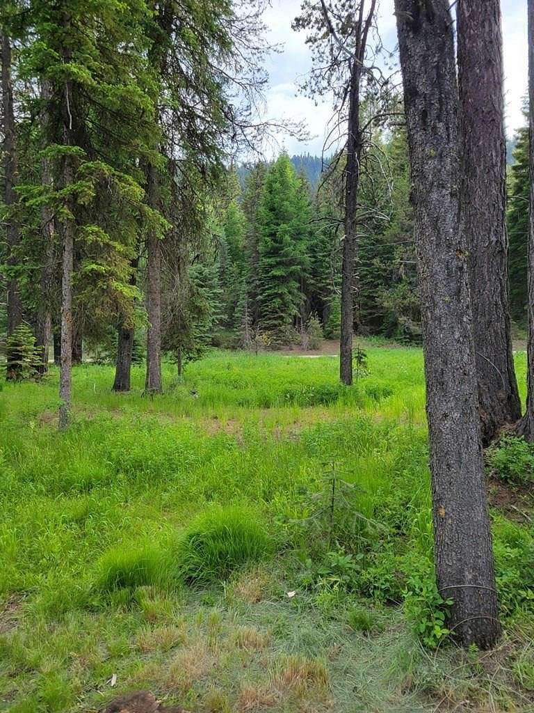 0.5 Acres of Land for Sale in Donnelly, Idaho