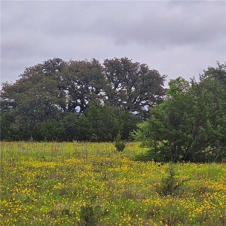 9.8 Acres of Residential Land for Sale in Iredell, Texas