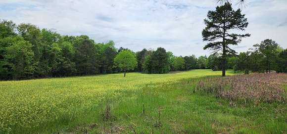 278 Acres of Recreational Land & Farm for Sale in Richland, Georgia