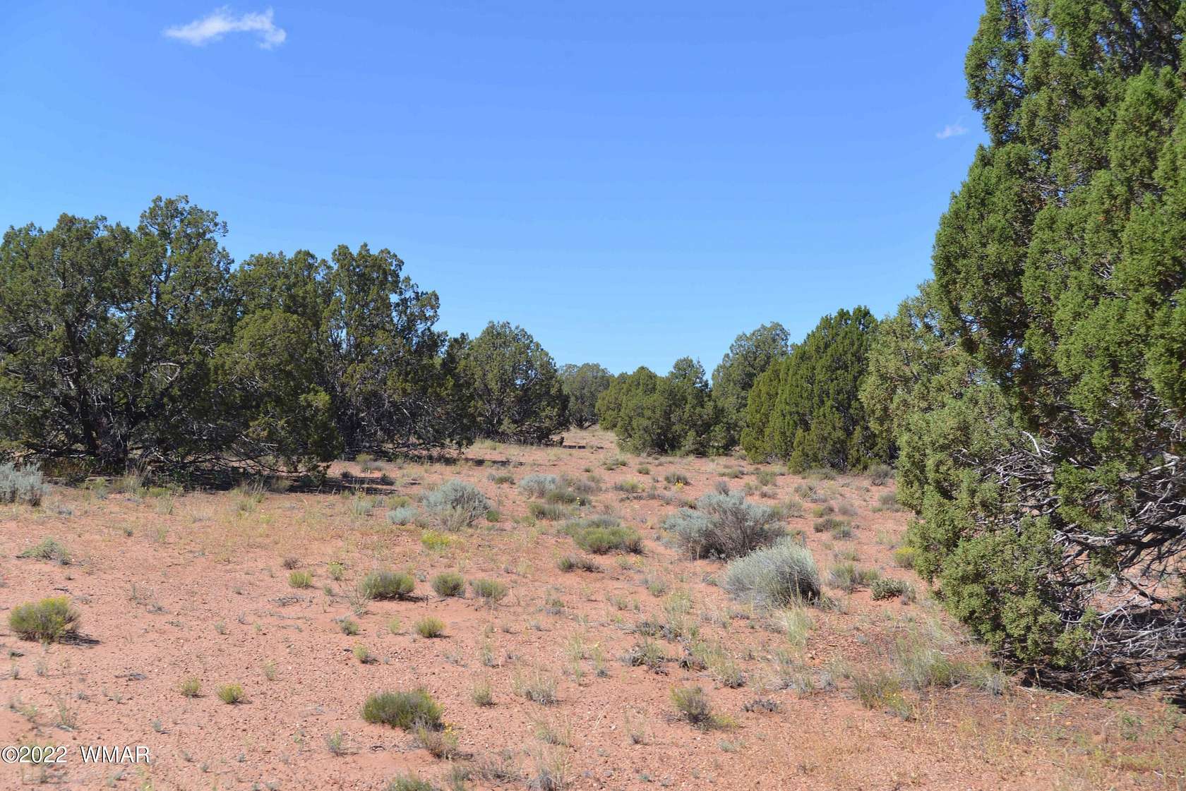 1.18 Acres of Land for Sale in Snowflake, Arizona