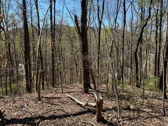 5.1 Acres of Recreational Land for Sale in Landrum, South Carolina