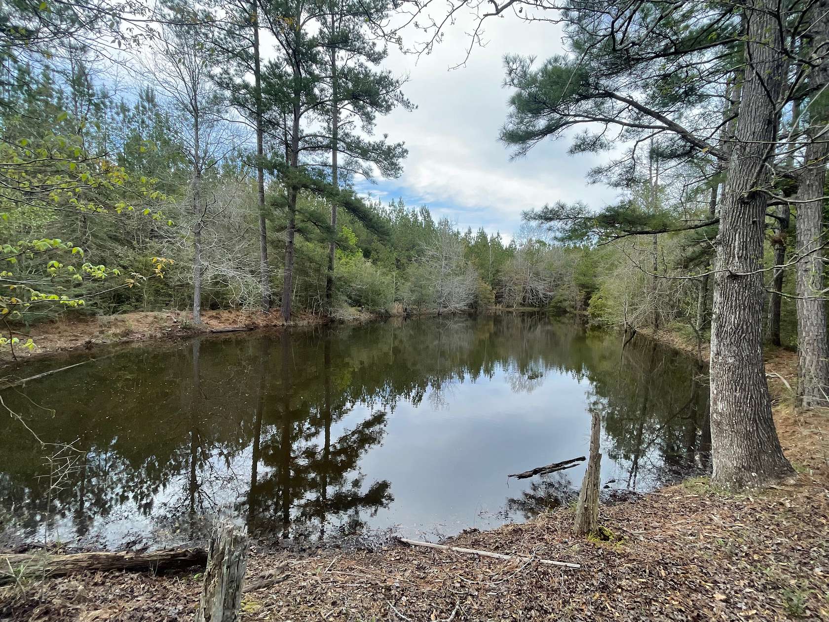 303 Acres of Recreational Land & Farm for Sale in Columbia, Mississippi