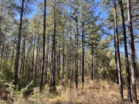 295 Acres of Recreational Land & Farm for Sale in Lumberton, Mississippi