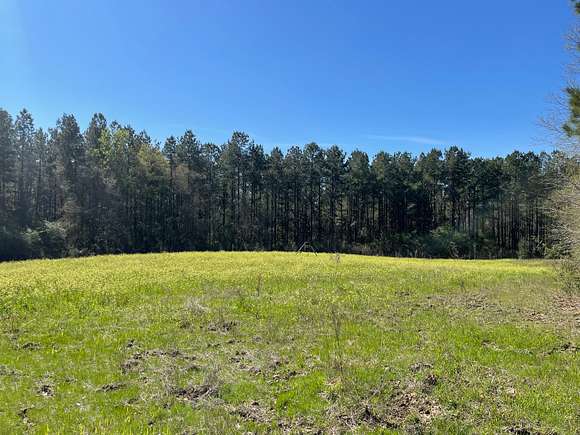 295 Acres of Recreational Land & Farm for Sale in Lumberton ...