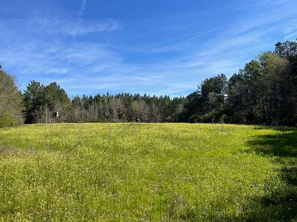 295 Acres of Recreational Land & Farm for Sale in Lumberton ...