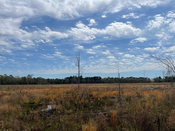 141 Acres of Recreational Land for Sale in Lumberton, Mississippi
