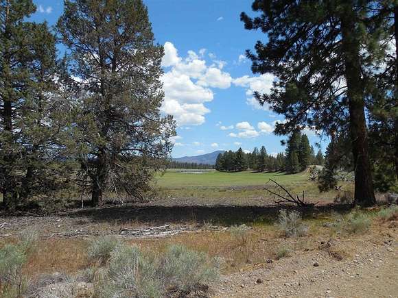 160 Acres of Recreational Land for Sale in Macdoel, California