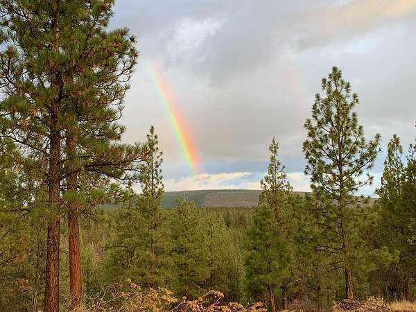 157 Acres of Land for Sale in Sisters, Oregon